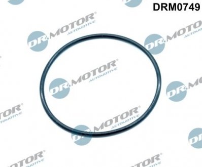 USZCZELKA ZAWORU EGR DR MOTOR Dr.Motor DRM0749