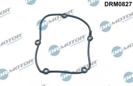 DR MOTOR Dr.Motor DRM0827