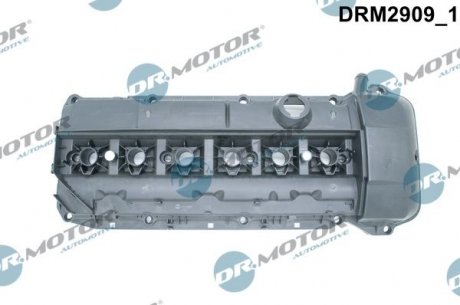 Кришка головки циліндра BMW 3 E46 2,2 00- Z USZCZELKд Dr.Motor DRM2909