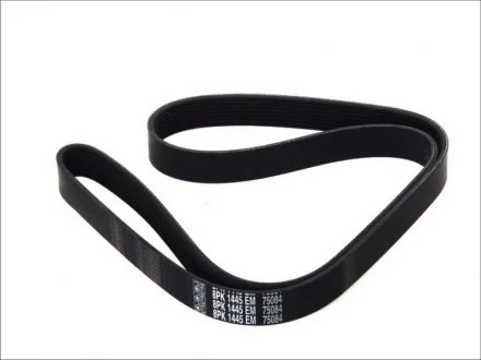 Доріжковий пас DT 480720