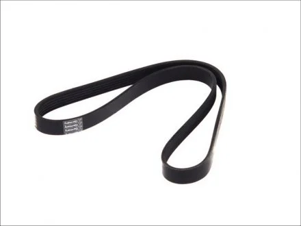 Дорожный пас DT 631512