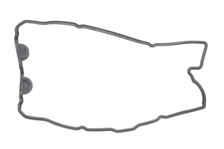 Прокладка клап. кришки Primera 1,6 16V -02. ELRING 071.410