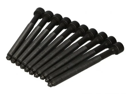 Комплект болтів головки цилідра AUDI 1.8 TFSI ELRING 325.930