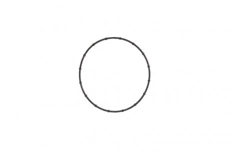 Фото кільце ущільнювальне насоса вакуумного R56, R55, R60 ELRING 530330 Кільце ущільнювальне насоса вакуумного R56, R55, R60 ELRING 530330