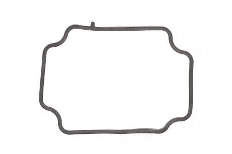 Прокладка термостату Citroen Berlingo/Peugeot Part ELRING 539.560