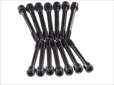 Фото болти головки блоку циліндрів (комплект) ELRING 710.100 Болти головки блоку циліндрів (комплект) ELRING 710.100