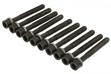 К-кт болтів головки блоку Golf, Caddy, Derby, Passat,AUDI 80 73-92 ELRING 819808