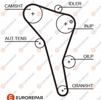 РЕМ?НЬ ГРМ EUROREPAR 1633129180