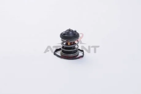 Термостат системи охолодження FACET 78762 (фото 1)