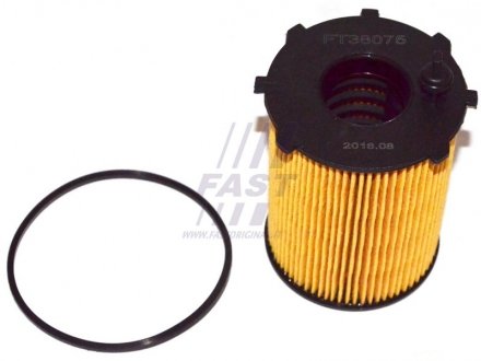 Фильтр масла (вставка) PSA Berlingo/C3/C4/Partner/207/307/Ford Fiesta/Focus 1.4-1.6HDi 04- FAST FT38075