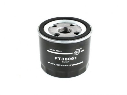 Фильтр FAST FT38091