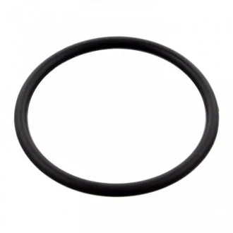 Кільцо термостата M 271 FEBI 100077