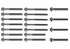 Набір болтів головки блоку циліндра (18 шт) М10*1,5мм 10231