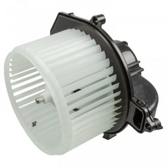 FEBI 170360