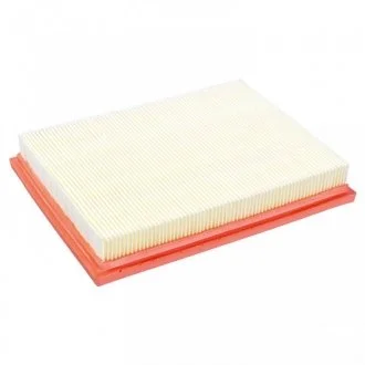 Фільтр повітряний Fiesta 01-05, Fusion MAZDA 2 03- (217*168*34) FEBI 27291