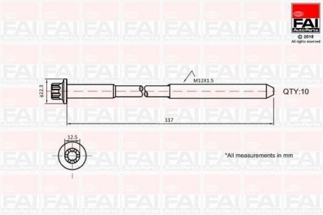 Набор болтов ГБЦ Renault Megane LagunaTrafic 20 V16 01- Fischer Automotive One (FA1) B1018 (фото 1)