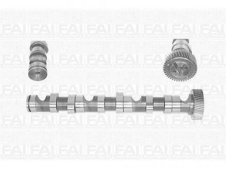 Распределительный вал WV Passat4/ 97-05Audi A4,A6/ 99-03Skoda Super B Fischer Automotive One (FA1) C247 (фото 1)