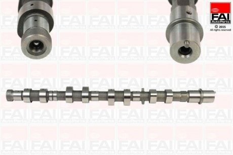 Fischer Automotive One (FA1) C343 (фото 1)