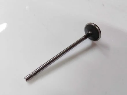 Впускной клапан FRECCIA 6368