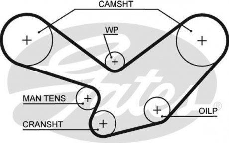 Ремінь ГРМ Gates 5096 (фото 1)
