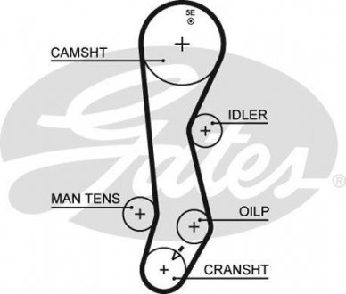 Ремінь ГРМ Gates 5389XS (фото 1)