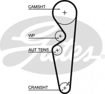 Ремінь ГРМ Gates 5431XS (фото 1)