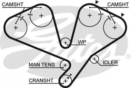 Ремінь ГРМ Gates 5442XS (фото 1)