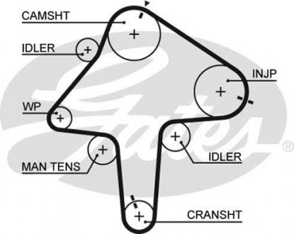 Ремінь ГРМ Gates 5482XS (фото 1)