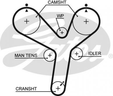 Ремень ГРМ Gates 5536XS (фото 1)