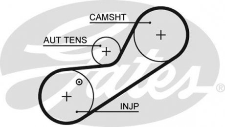 Ремень ГРМ Gates 5546XS