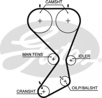 Ремінь ГРМ Gates 5556XS