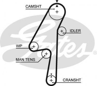 Ремінь ГРМ Gates 5580XS