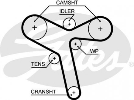 Ремінь ГРМ Gates 5647XS (фото 1)
