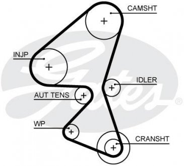 Ремінь ГРМ Gates 5688XS (фото 1)