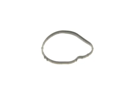 Прокладка термостата Gazo GZ-A1622