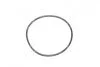 Прокладка помпы Ланос/Авео/Лачетти (кольцо) (кратно 10) GM 94580509 (фото 4)