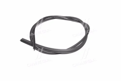 Уплотнитель стекла general motors GM 96543951