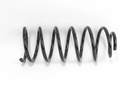 Пружина задня Hyundai Getz 02- GOODREM RP1223