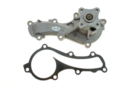 Насос води GRAF PA830