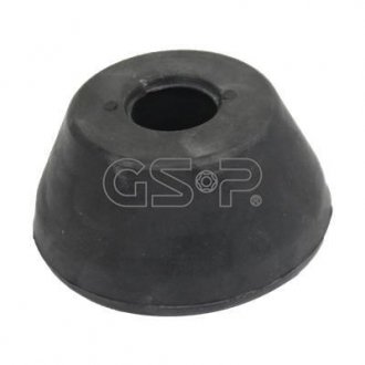 GSP 517547