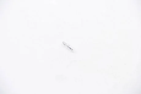 Автолампа безцокольна HELLA 8GP002095121