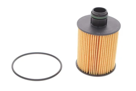 Фильтр масла HENGST FILTER E124H02D202