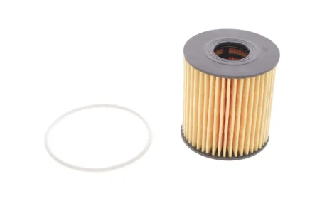 Фільтр масла HENGST FILTER E44HD110