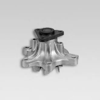 Насос води HEPU P7666