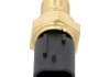Датчик температури на блоці Holstein 2CTS0206 (фото 3)