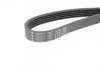 Ремень поликлиновой 5PK1175 HUTCHINSON 1175 K 5 (фото 4)