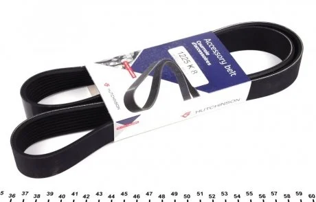 Ремень (поликлиновый) HUTCHINSON 1225 K 8