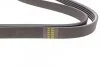 Ремень (поликлиновый) HUTCHINSON 1850 K 5 (фото 3)