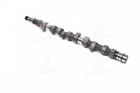 Фото розподільчий вал INA 428007910 Розподільчий вал INA 428007910