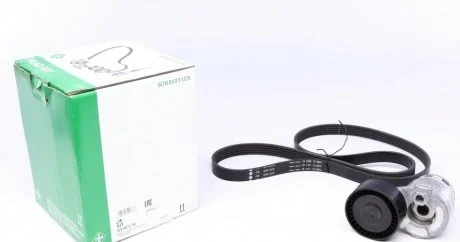 Ролик привідного ременя INA 529001510